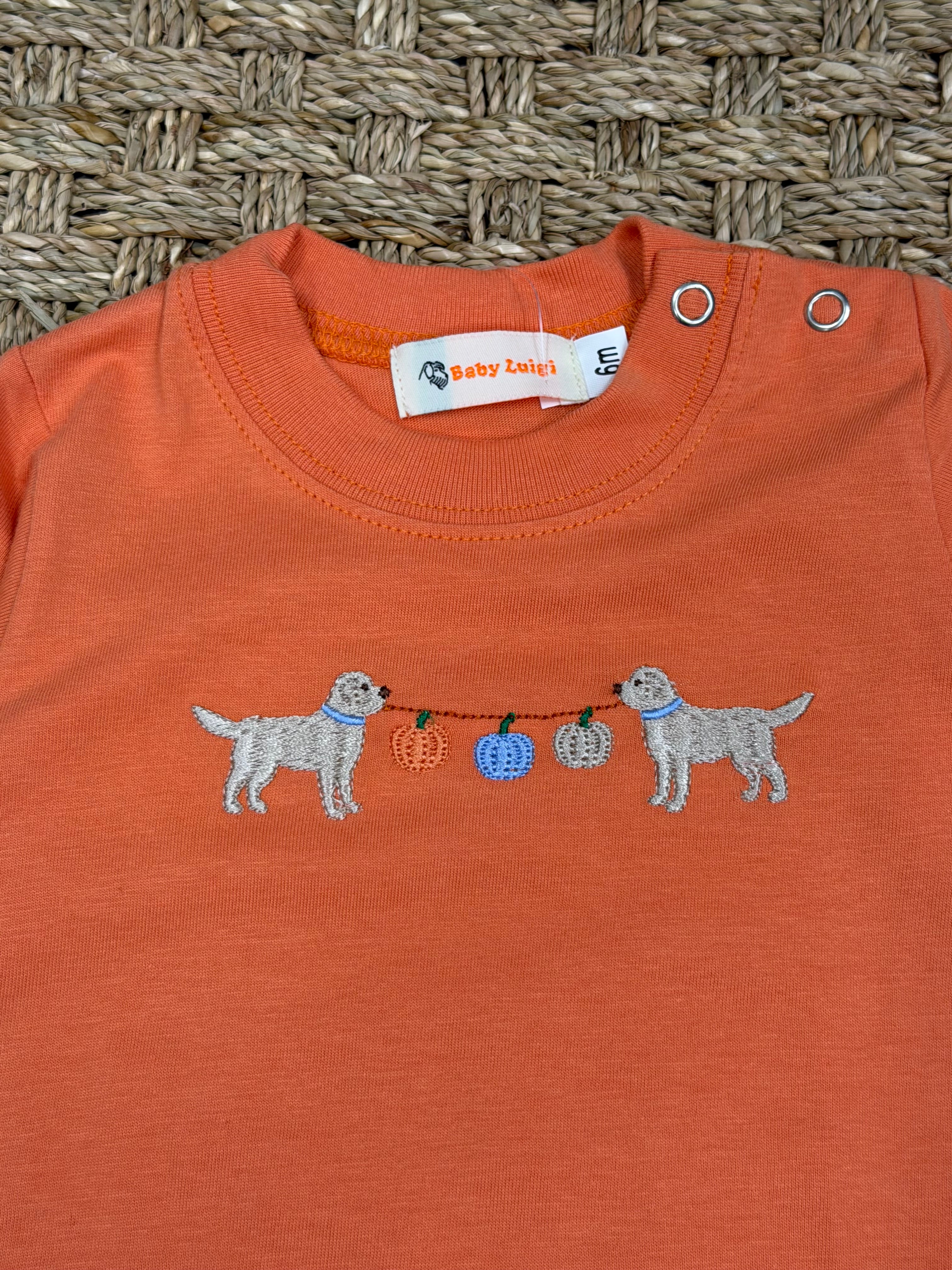 Luigi Romper, Labs with Pumpkins on Orange