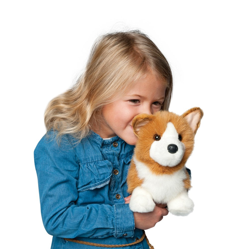 Douglas Louie Corgi