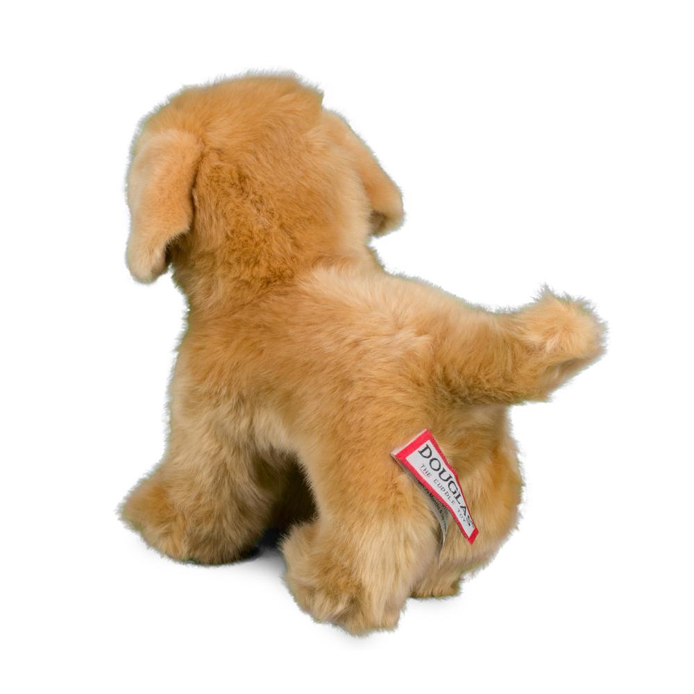 Douglas Chap Golden Retriever