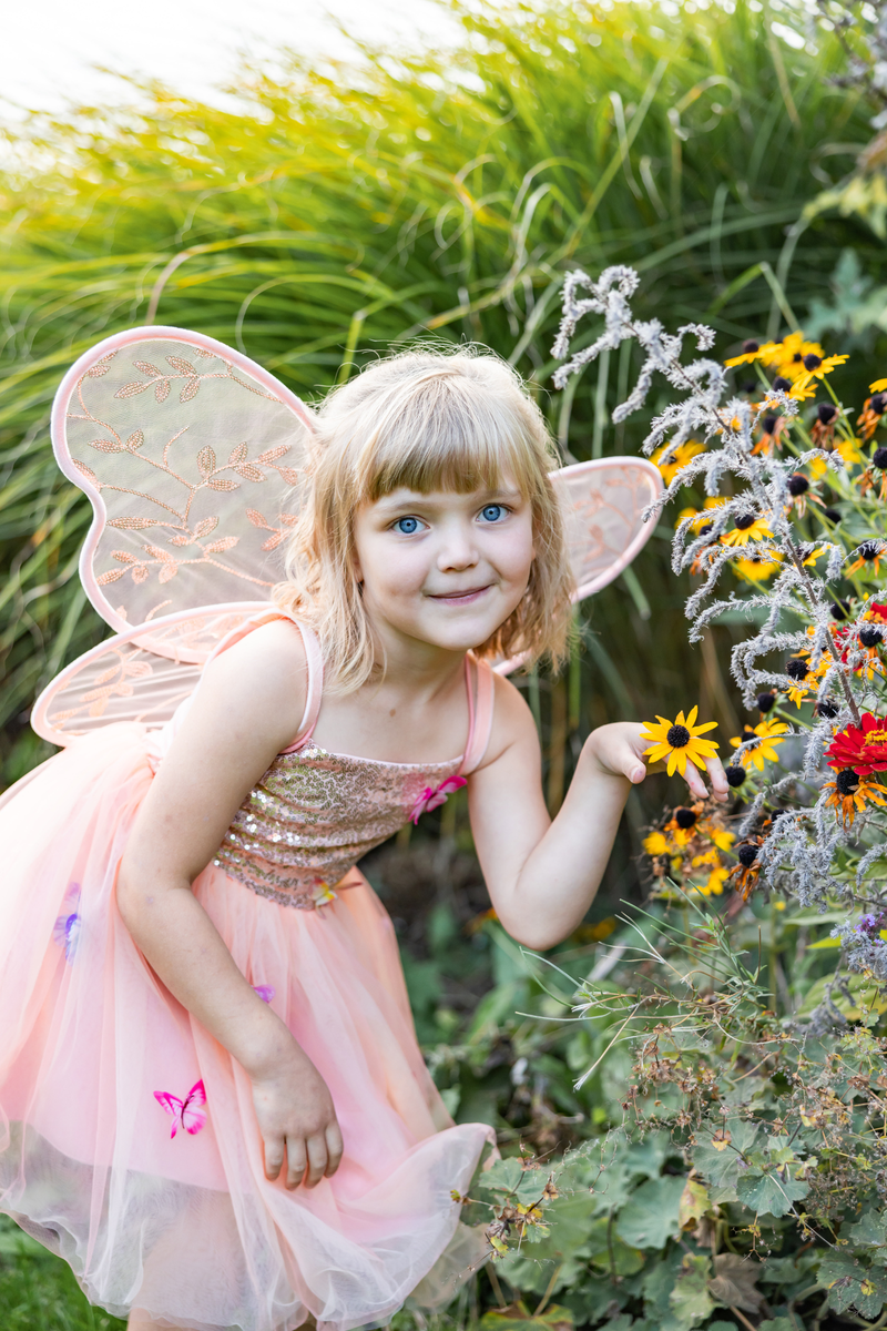 Creative Education Butterfly Bliss Wings, Peach