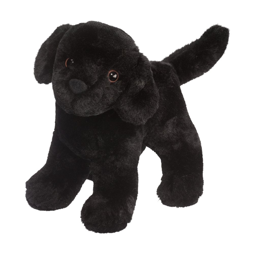 Douglas Abraham Black Lab