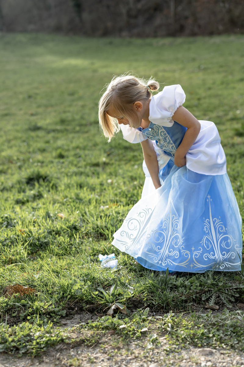 Creative Education Once Upon a Princess Cinderella Dress