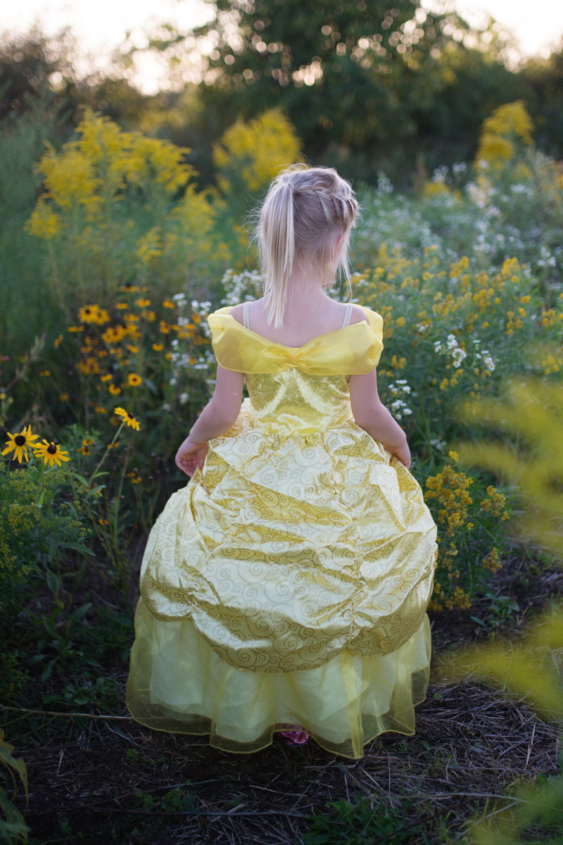 Creative Education Deluxe Belle Gown