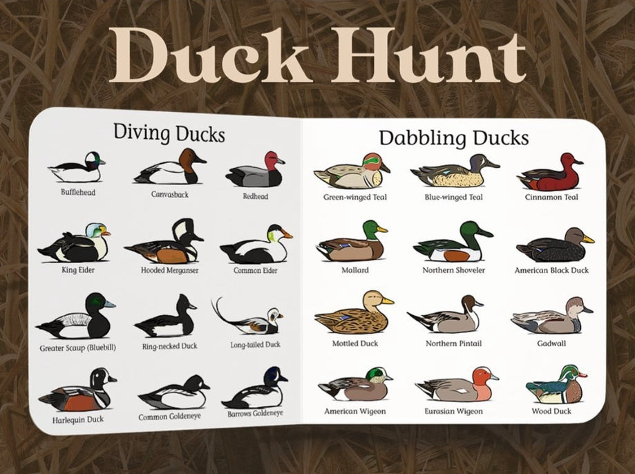 Explore the Outdoors Duck Hunt