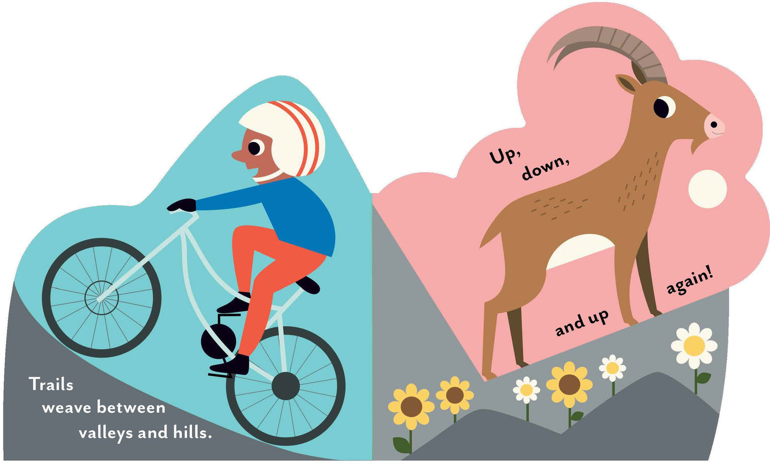 Hachette Bookscape Board Books: The Great Outdoors