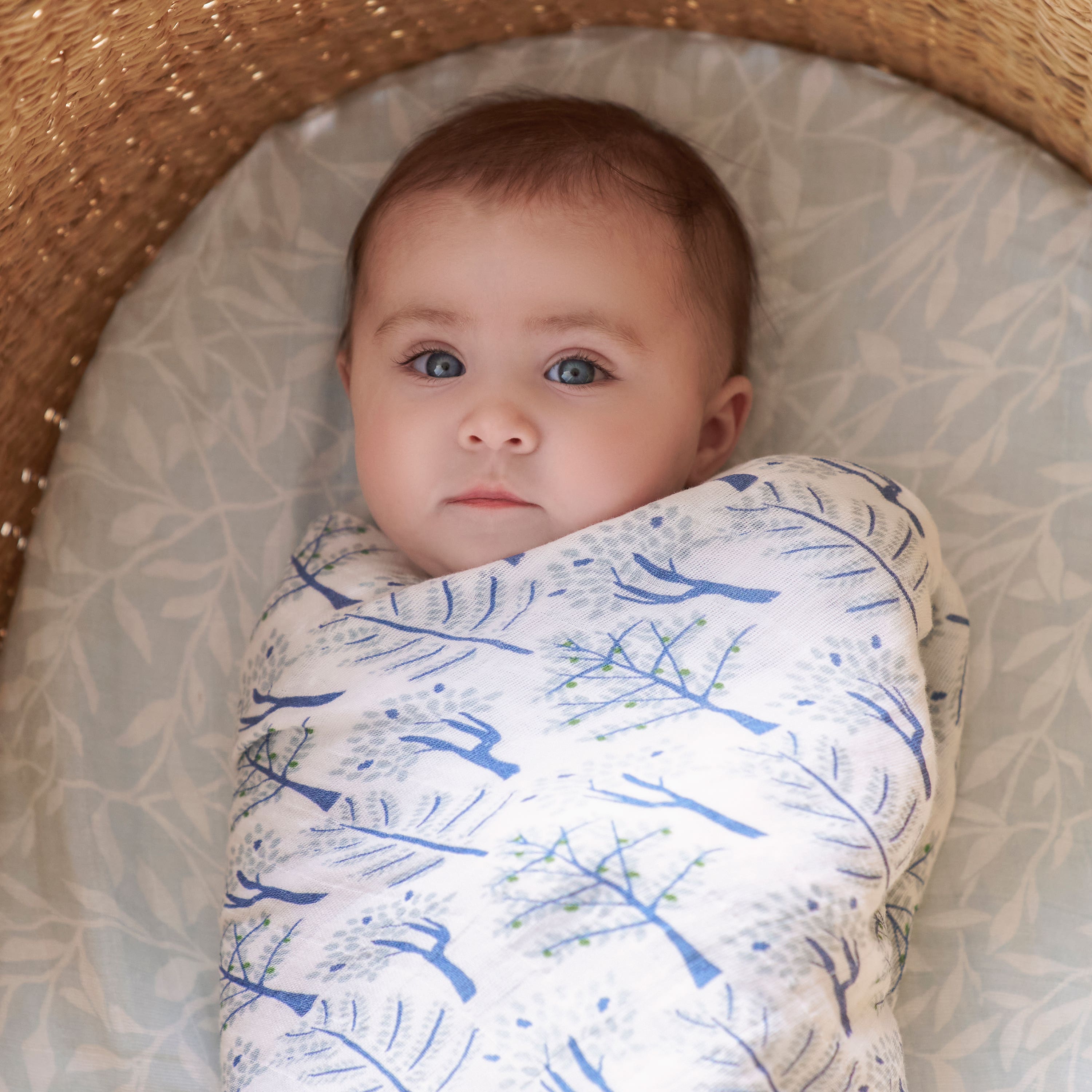 Aden & Anais Outdoors Organic Swaddles