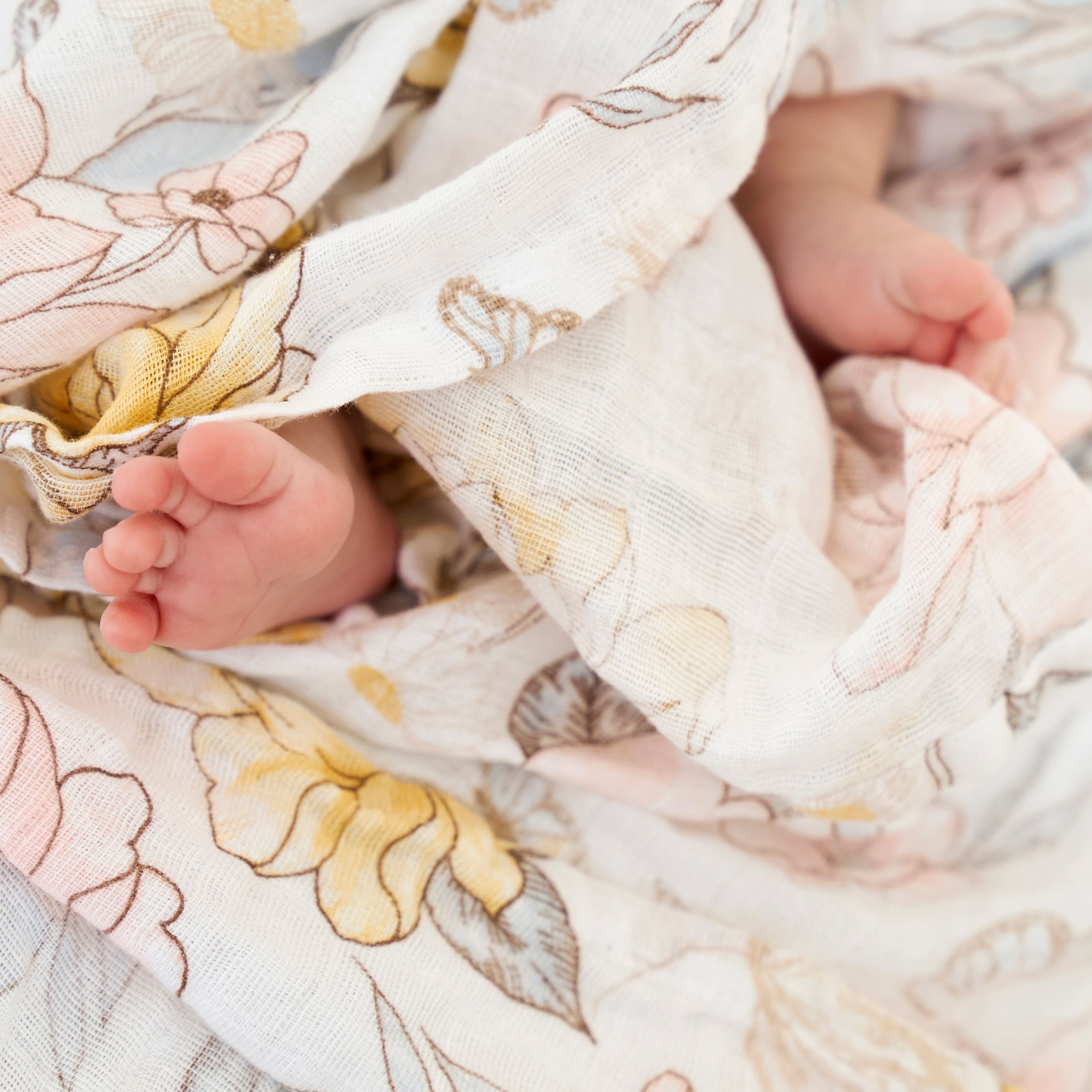 Aden & Anais Earthly Organic Swaddles
