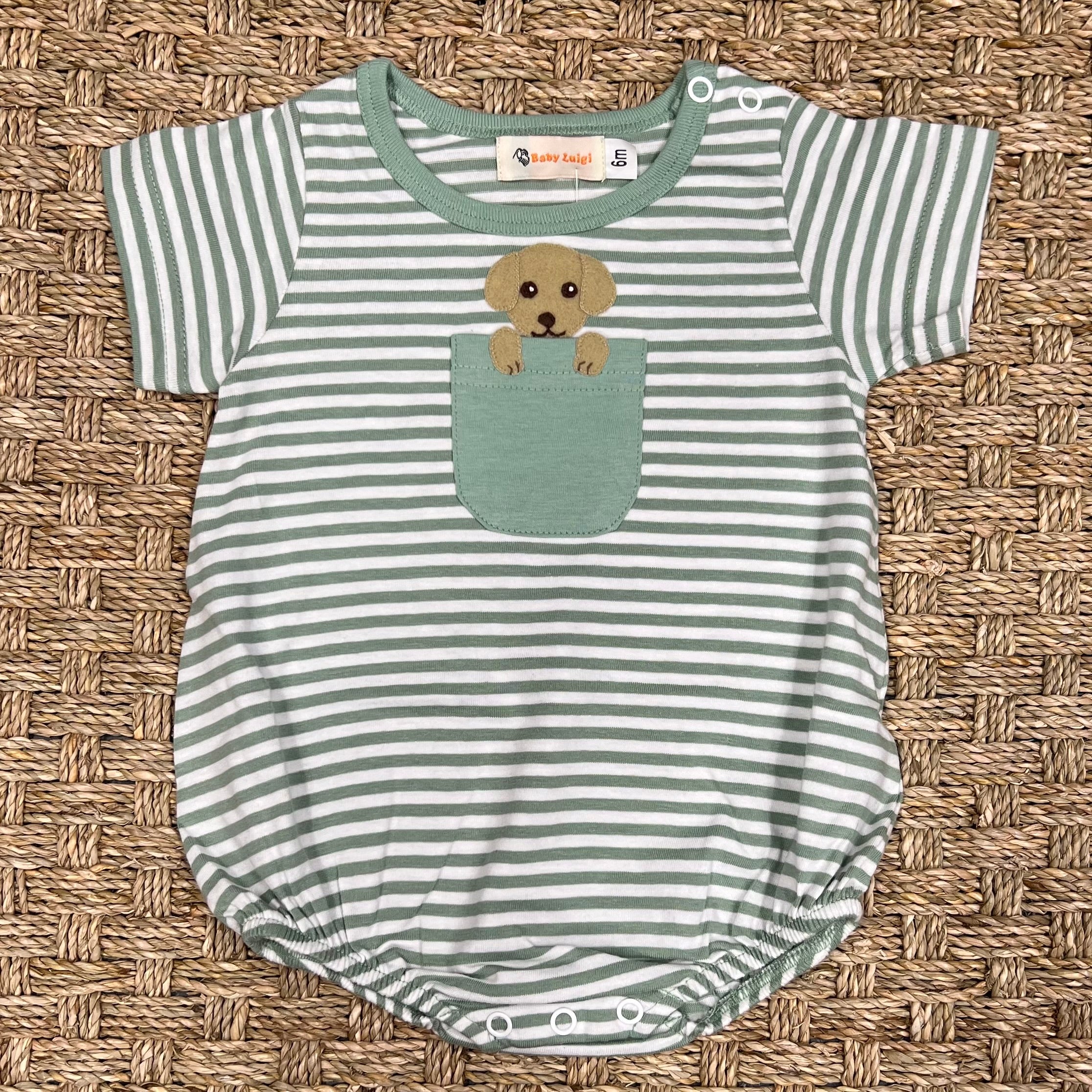Luigi Bubble, Puppy on Medium Ambrosia Stripe