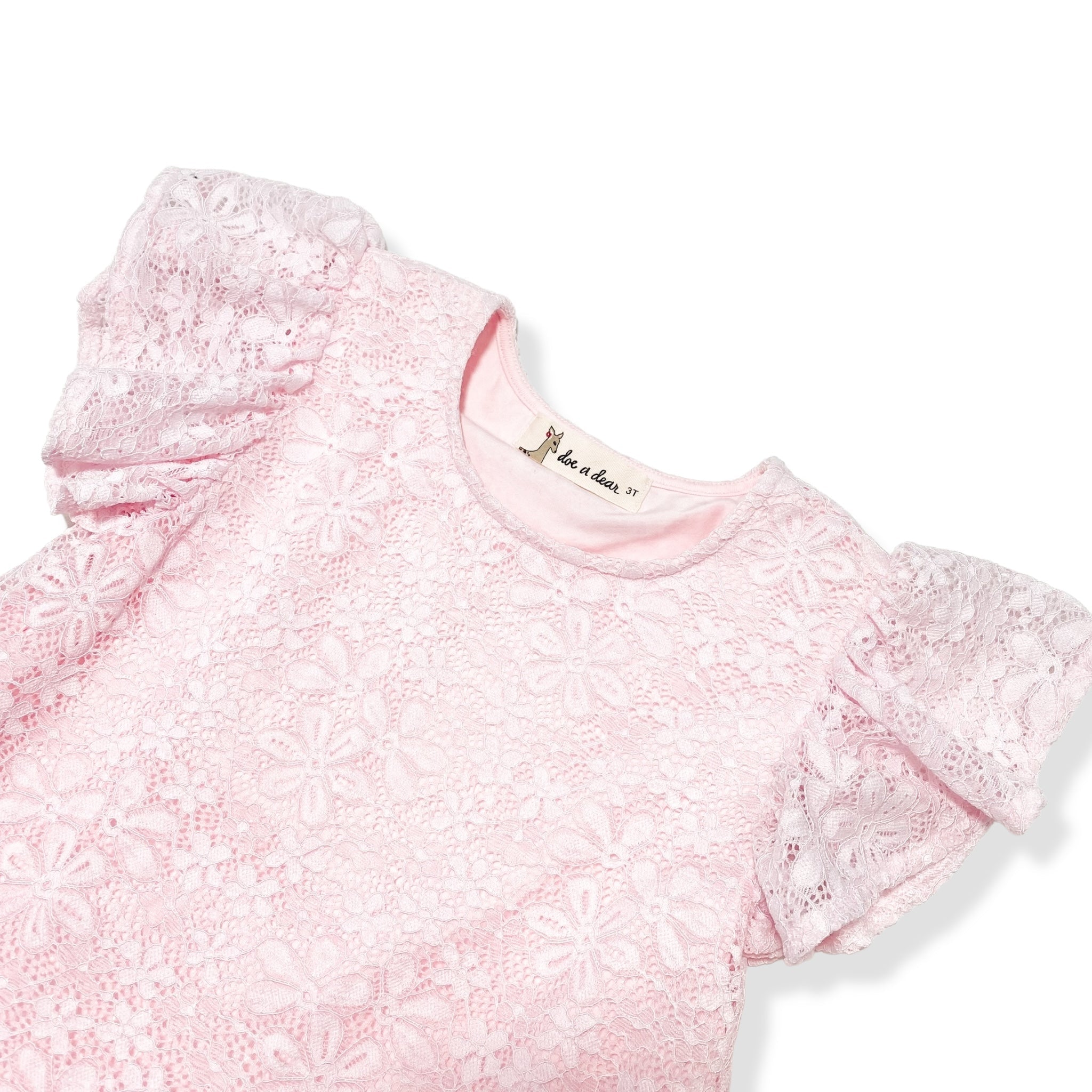 Doe A Dear Pink Dropwaist Lace Dress