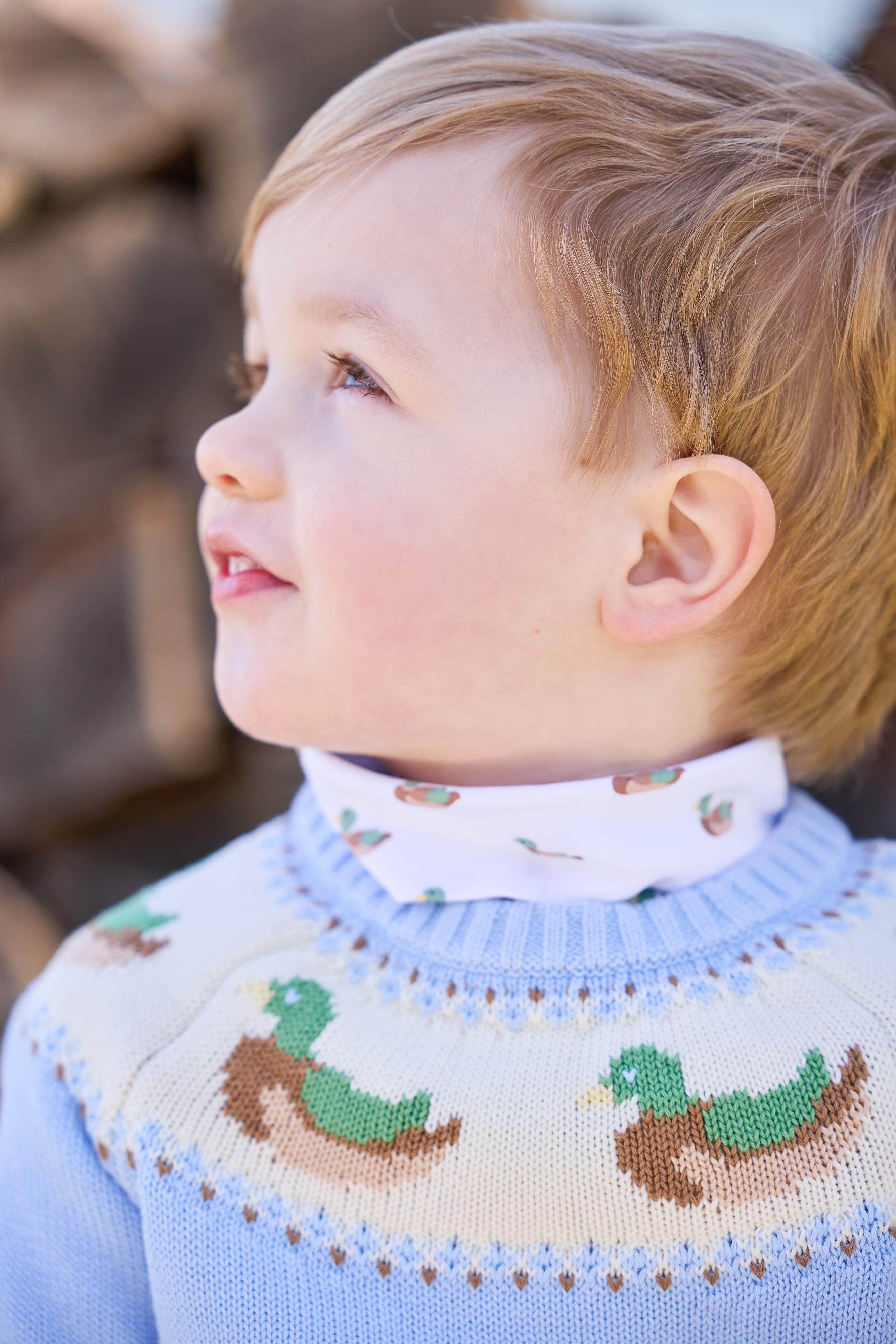 Little English Mallard Fair Isle Sweater
