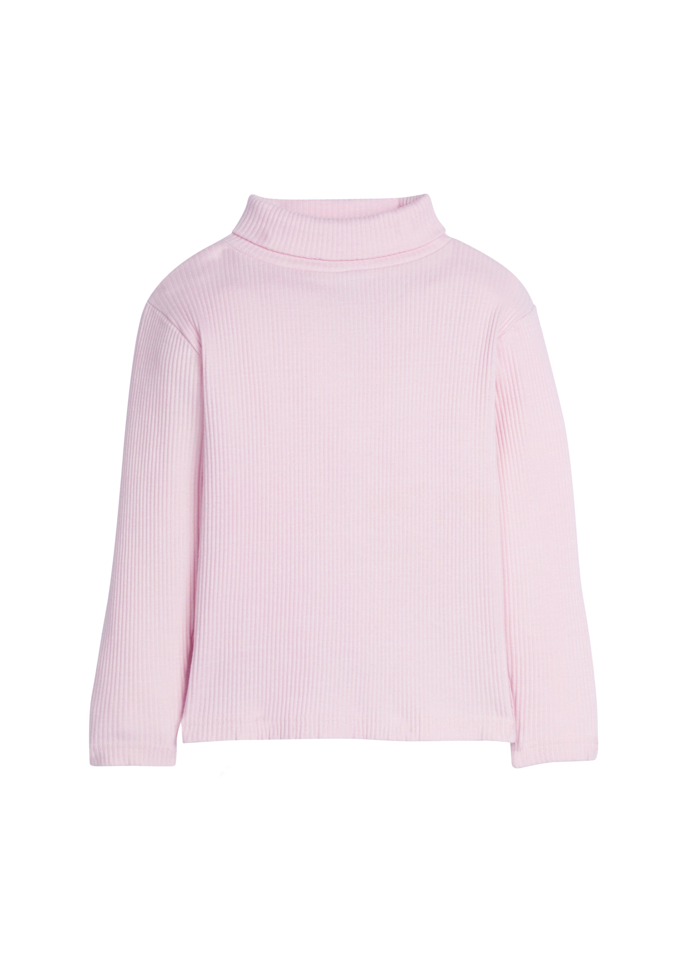 Bisby Ribbed Turtleneck