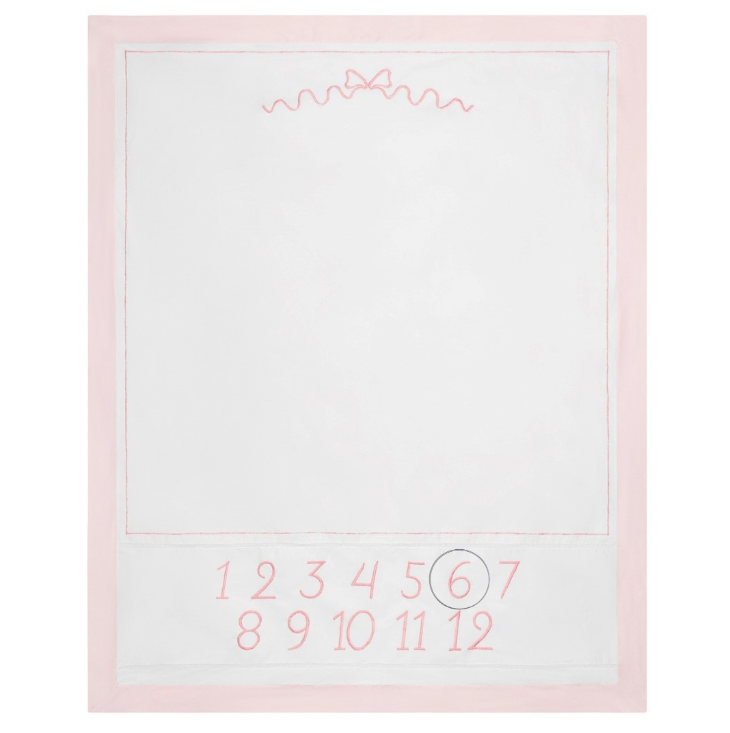 Feltman Brothers Girls Milestone Blanket