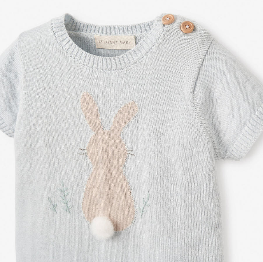 Elegant Baby Blue Bunny Shortall