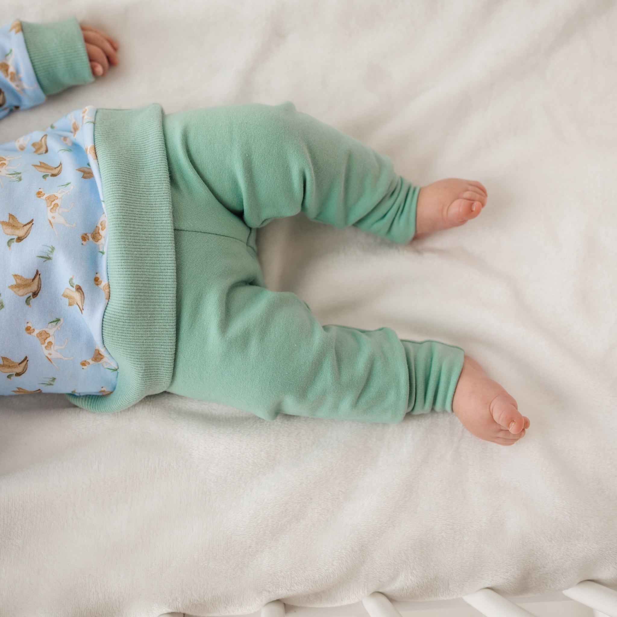 Magnolia Baby Duck and Hound Pullover Sweatshirt