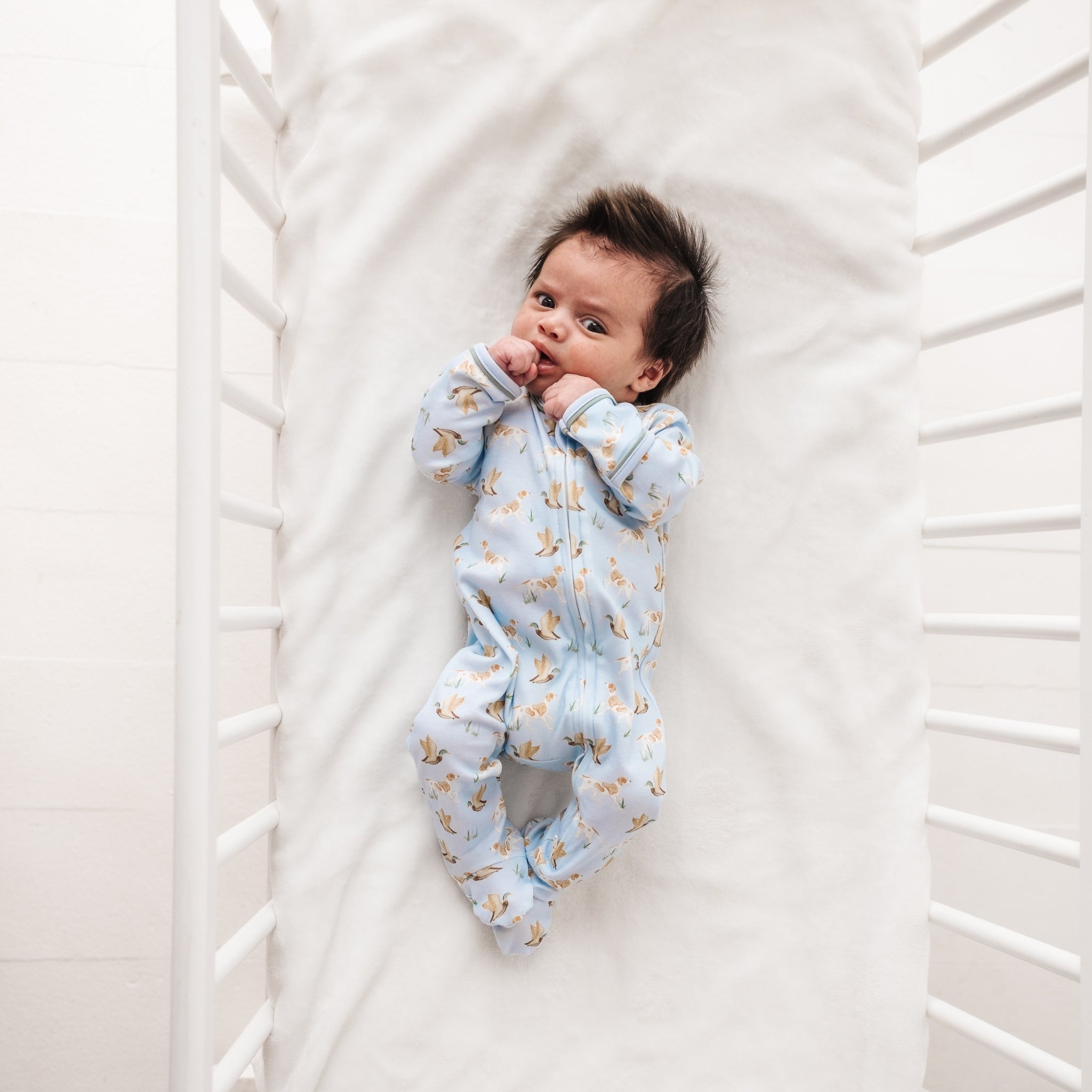 Magnolia Baby Duck and Hound Zip Footie
