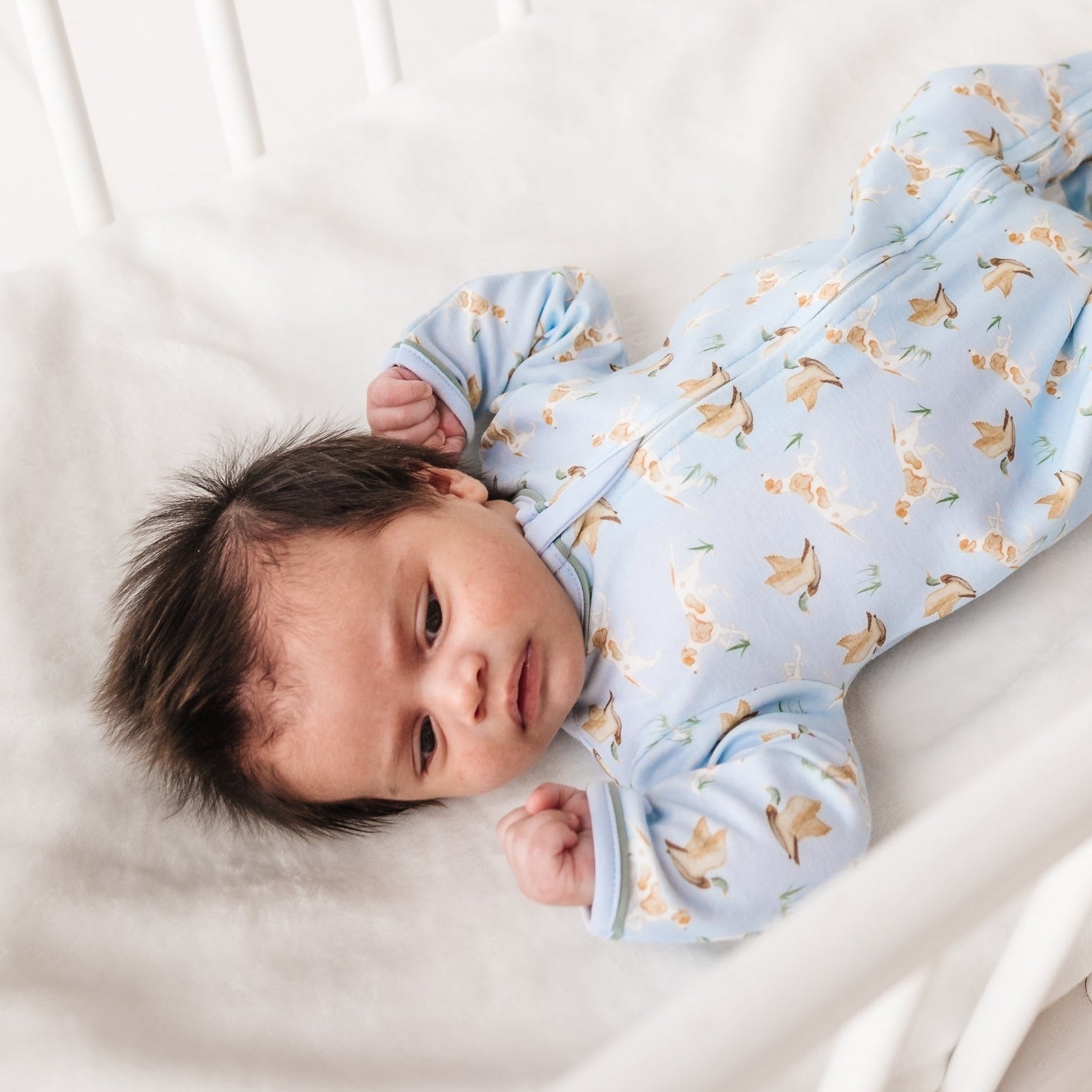 Magnolia Baby Duck and Hound Zip Playsuit