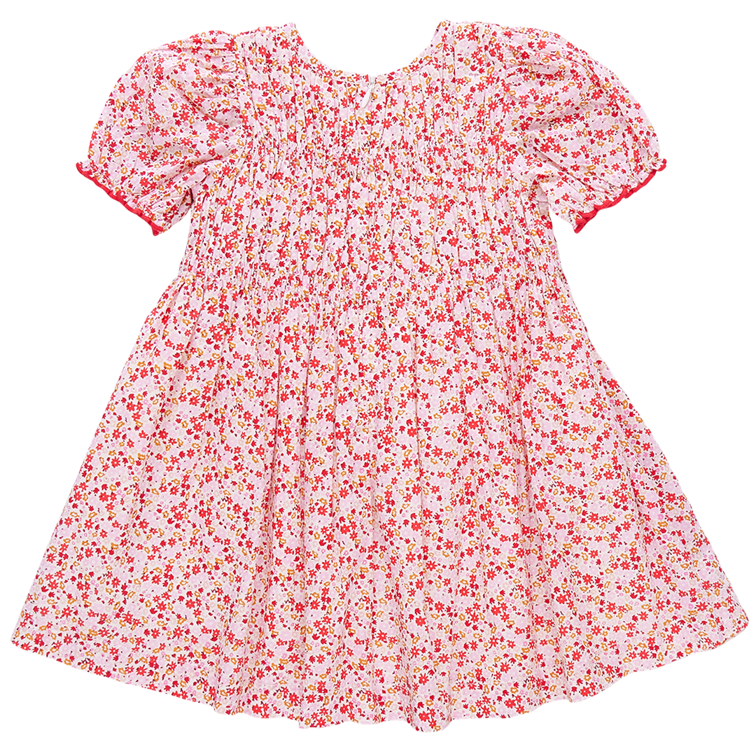 Pink Chicken Waverly Dress, Pink Mini Ditsy