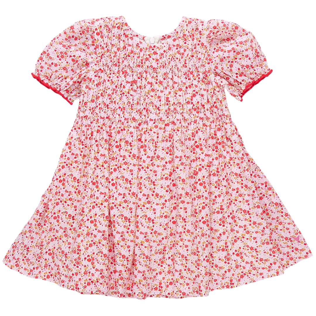 Pink Chicken Waverly Dress, Pink Mini Ditsy