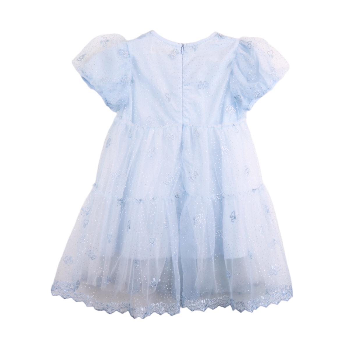 Doe A Dear Blue Floral Embroidery Mesh Dress - shopnurseryrhymes