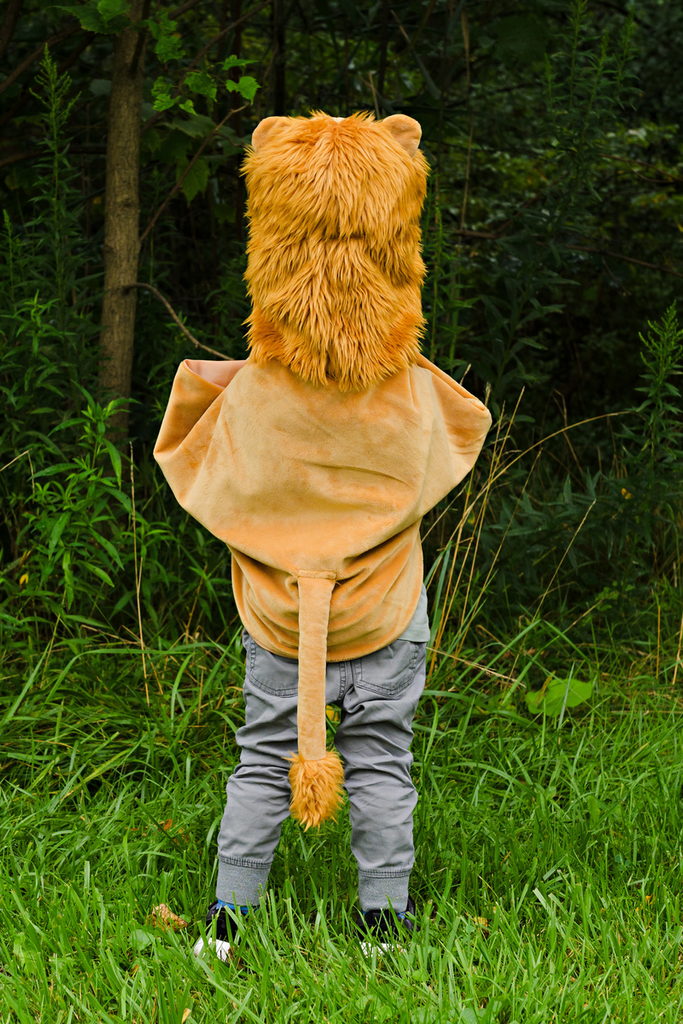 Creative Education Storybook Lion Cape