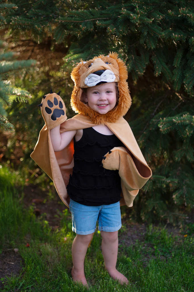 Creative Education Storybook Lion Cape