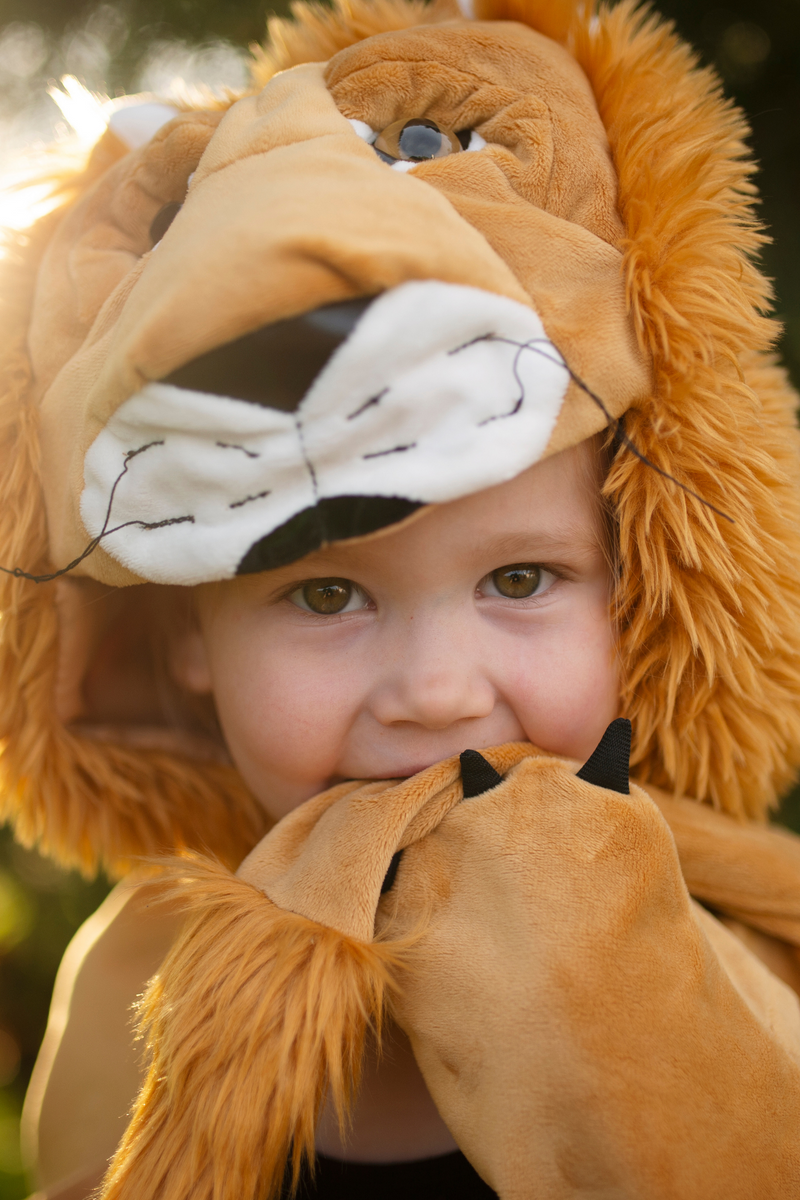 Creative Education Storybook Lion Cape