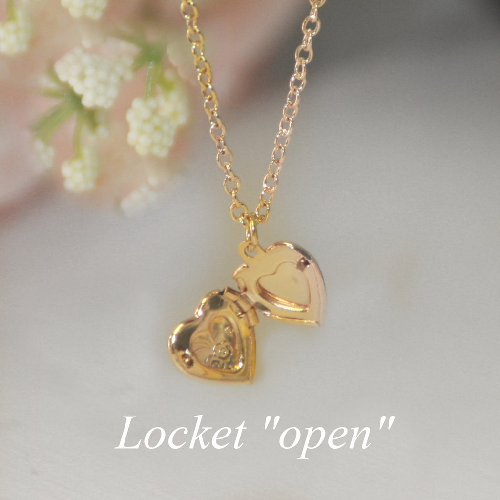 Collectables America Children's Heart Locket Necklace