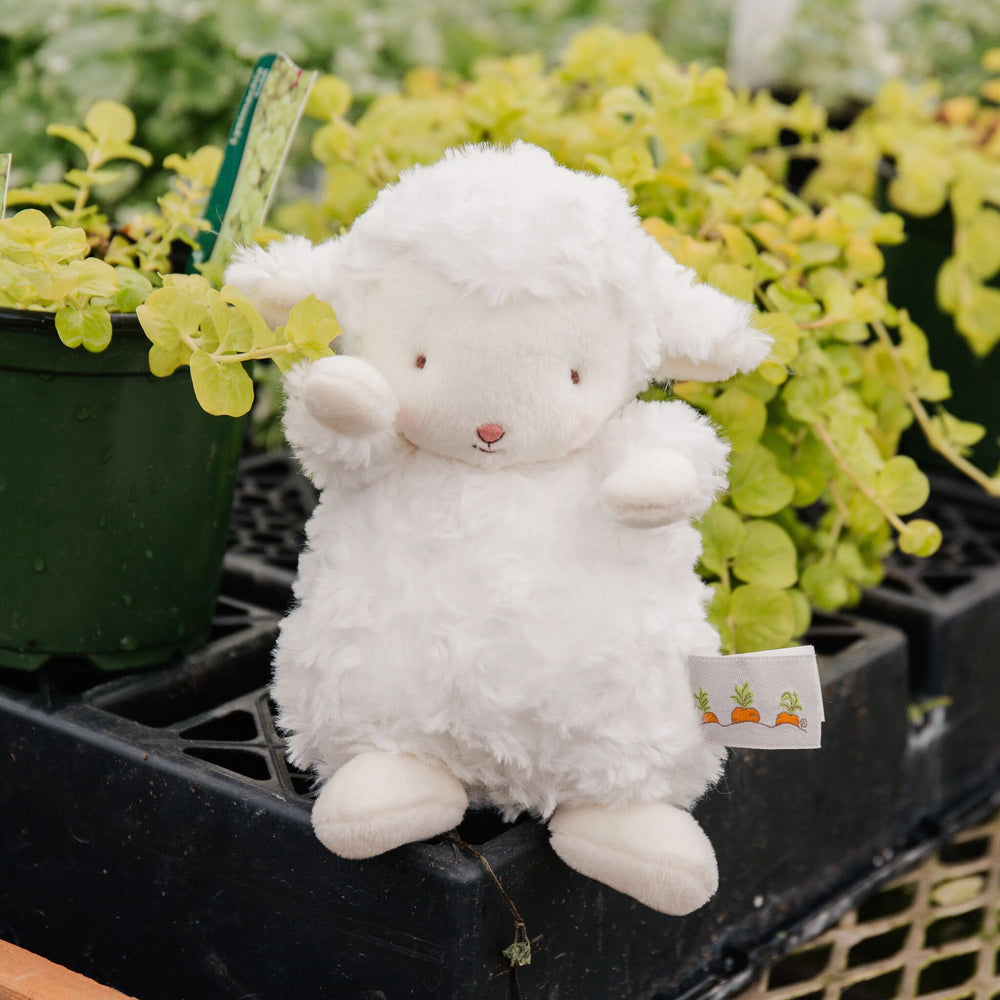 Bunnies By The Bay Wee Kiddo The Lamb