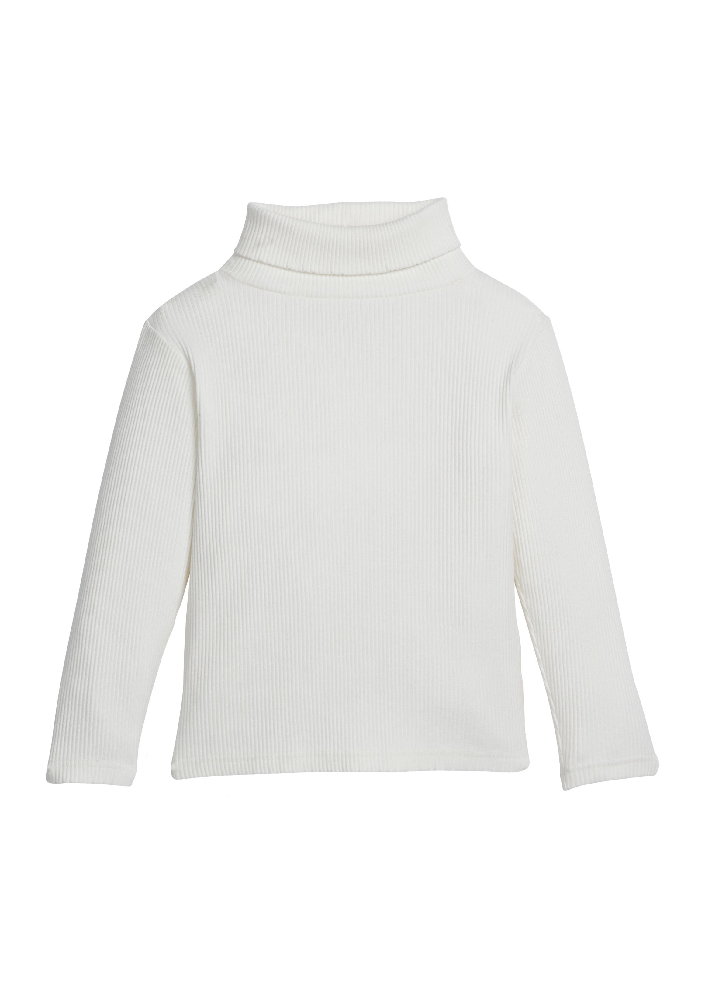 Bisby Ribbed Turtleneck