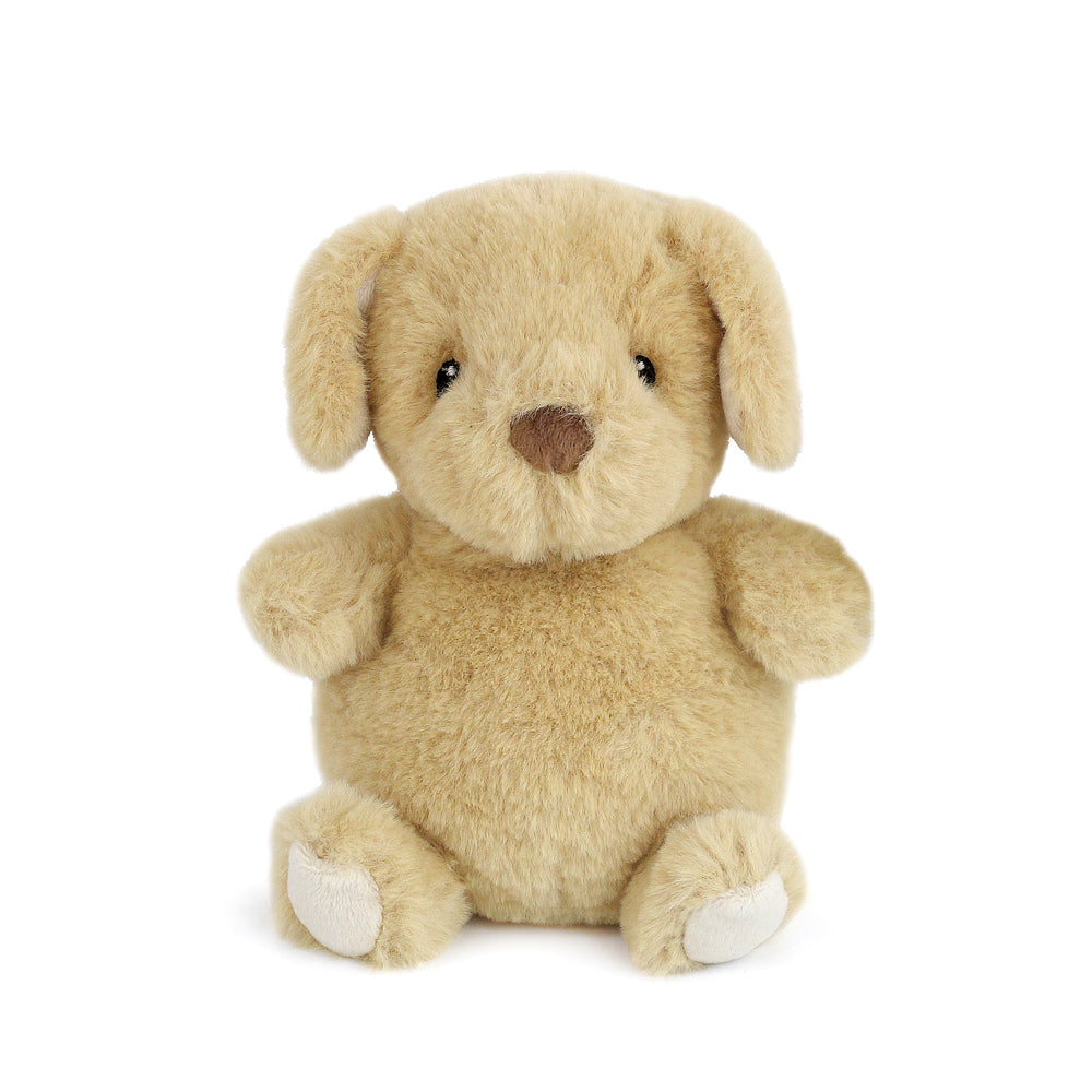 Mon Ami Jake Petit Puppy