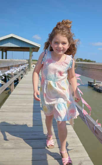 Pink Chicken Kelsey Dress, Fireworks