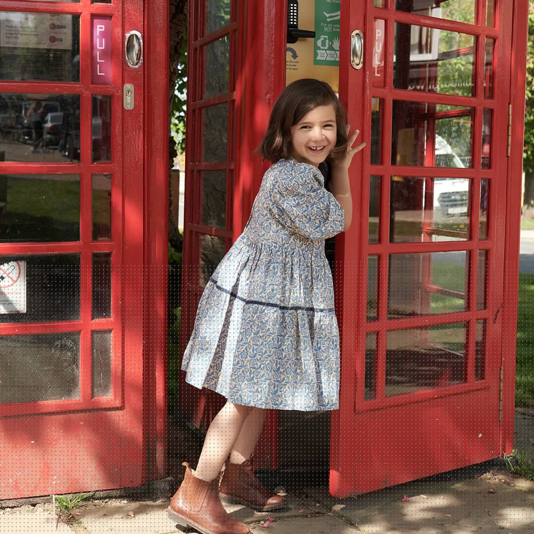 Pink Chicken Maribelle Dress, Blue Climbing Floral