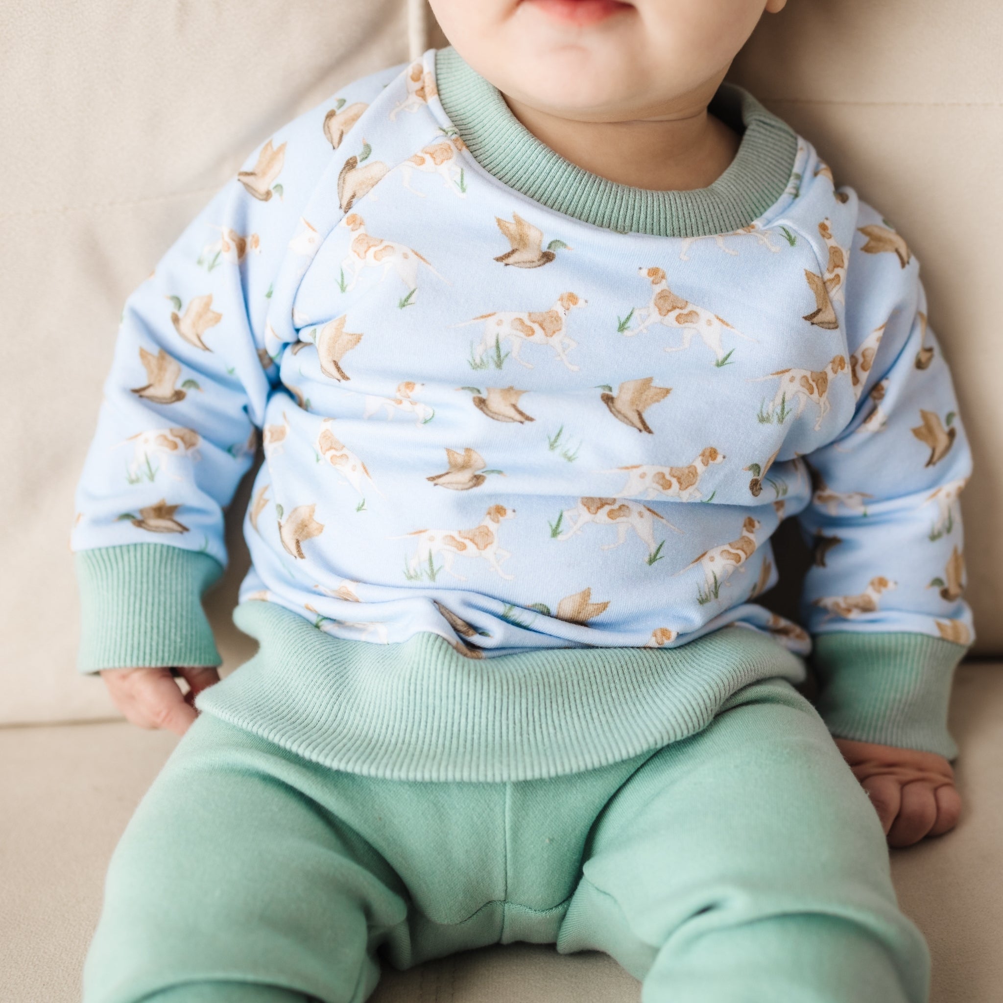 Magnolia Baby Duck and Hound Pullover Sweatshirt