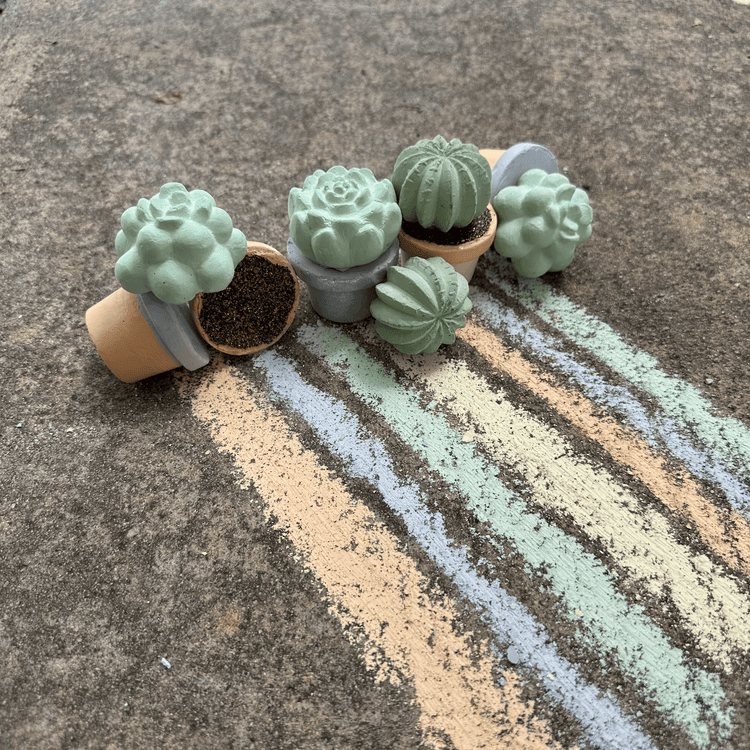 TWEE Maya & Siona's Succulent Sidewalk Chalk - shopnurseryrhymes