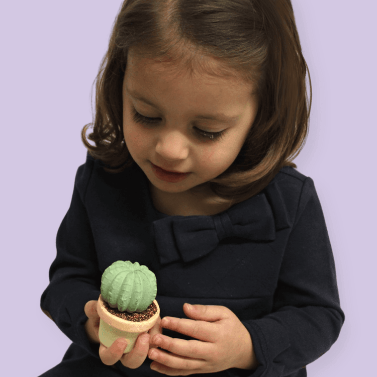 TWEE Maya & Siona's Succulent Sidewalk Chalk - shopnurseryrhymes