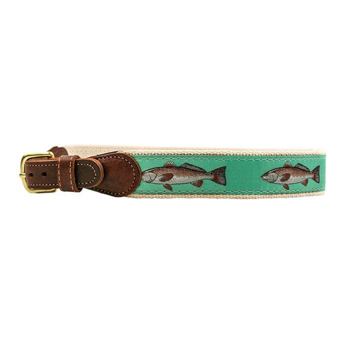 Bailey Boys Belt - shopnurseryrhymes