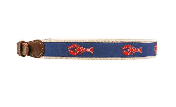 Bailey Boys Belt - shopnurseryrhymes